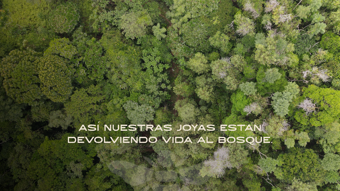 Sembrar Legados: Las joyas que devuelven vida