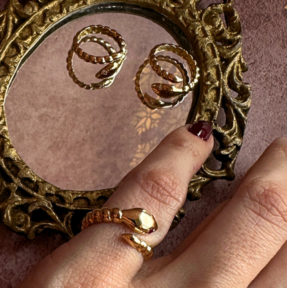 ANILLO CULEBRA PINKY